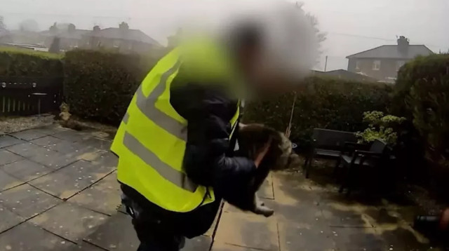 שליח גונב חתול (צילום: צילום מסך)