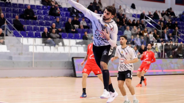 כדוריד (צילום: אתר רשמי, הדר ואן קולא, איגוד הכדוריד)