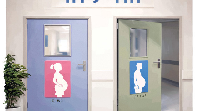 חדרי לידה לנשים ו...לגברים (צילום: איור: אופיר בגון)