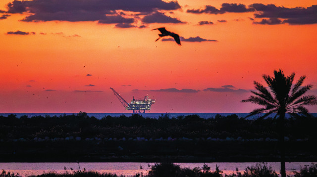 מאגר לוויתן (צילום: דור פזואלו, פלאש 90)