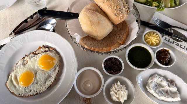 מישקה (צילום: בתיה גלעדי)