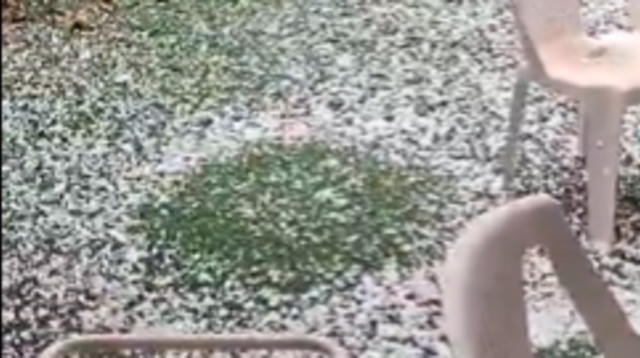 ברד כבד בנתניה (צילום: צילום מסך רשת X)