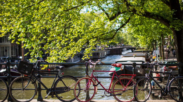 אופניים באמסטרדם (צילום: שאטרסטוק)