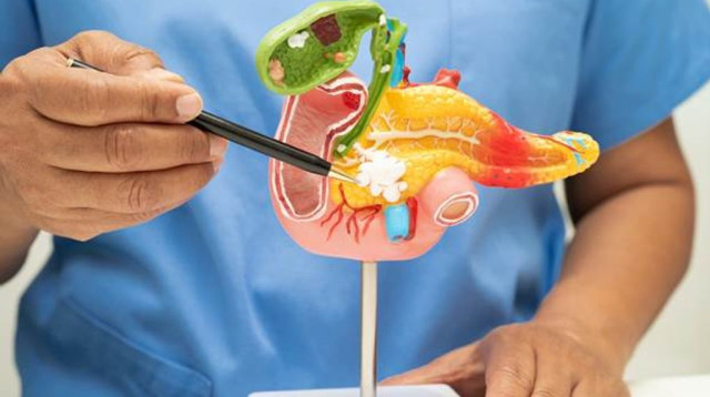 ציסטות בלבלב בעידן ההדמיה המתקדמת - ממצא מקרי, חרדה גדולה והצורך בהחלטה רפואית שקולה (צילום: envato)