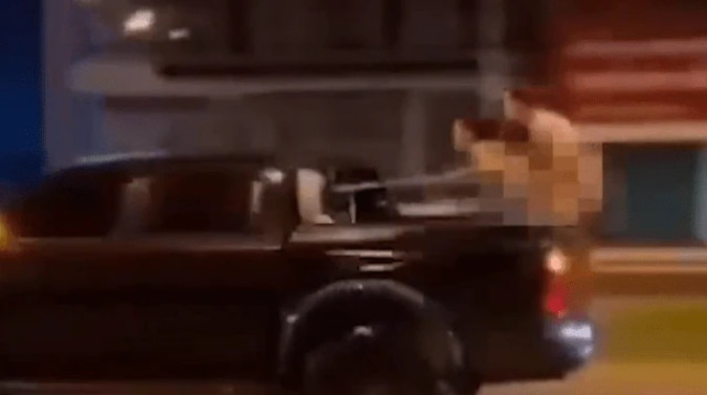 הסרטון שעורר סערה (צילום: צילום מסך)