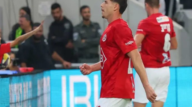 סתיו טוריאל (צילום: אודי ציטיאט)