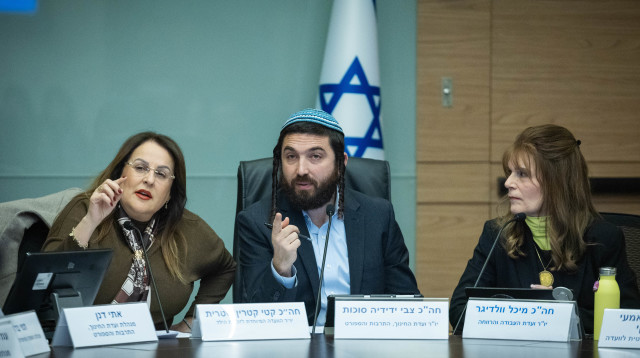 יו"ר ועדת חינוך ח"כ צבי סוכות (צילום: יונתן זינדל פלאש 90)
