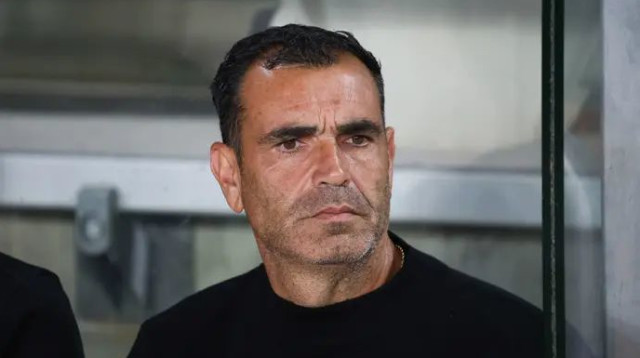  (צילום: דני מרון)