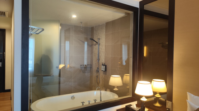 חדר מלון עם זכוכית לחדר האמבטיה  (צילום: שאטרסטוק)