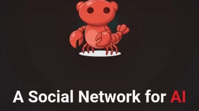 Moltbook (צילום: צילום מסך)