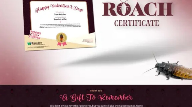 לקרוא לג’וק על שם האקס (צילום: צילום מסך)