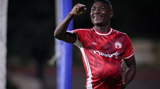 קינגס קאנגווה (צילום: מאור אלקסלסי)