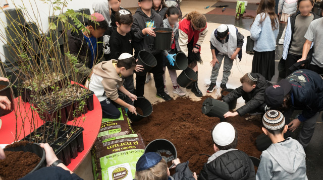 בואו לשתול איתי. אירוע טו בשבט בדיזנגוף סנטר (צילום: אורן גולן)