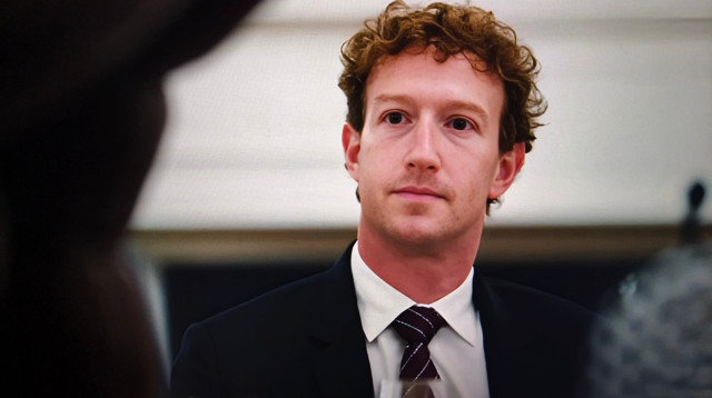 המייסד והבעלים של "מטא" מארק צוקרברג (צילום: שאטרסטוק)