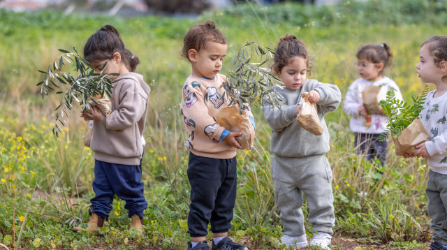 ילדים נוטעים עצים לכבוד לט"ו בשבט (צילום: יוסי אלוני פלאש 90)