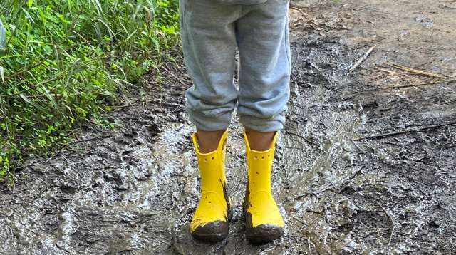 גן לאומי ירקון  (צילום: דינה רוזנטל רשות הטבע והגנים)