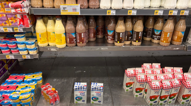 המחסור בחלב (צילום: אבשלום ששוני)