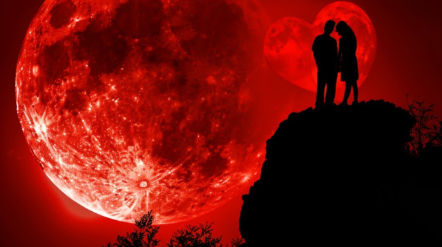 יום האהבה בפלנתניה (צילום: רועי דורון)