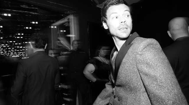 הארי סטיילס (צילום: Monica Schipper/Getty Images for The Recording Academy)