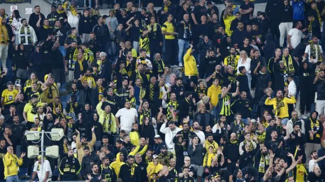 טדי (צילום: דני מרון)