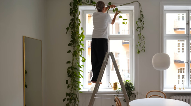 בניטה לארסן (צילום: מסך)