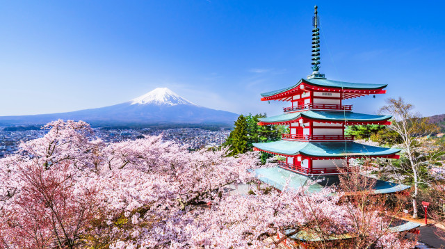 פארק אראקורהיאמה סנגן (צילום: שאטרסטוק)