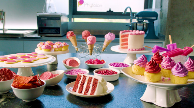 חברת פיטולון הישראלית, המפתחת צבעי מאכל טבעיים וחדשניים (צילום: עופר בן יהודה)