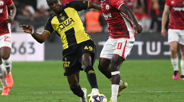 הופיע במאני טיים. קינגס קאנגווה (צילום: ברני ארדוב)