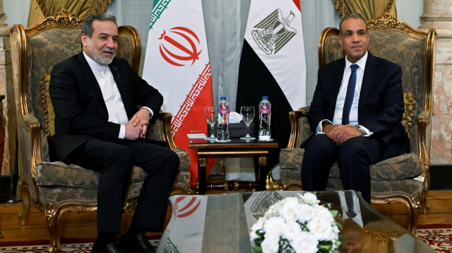 שרי החוץ של מצרים ואיראן (צילום:  REUTERS/Mohamed Abd El Ghany)