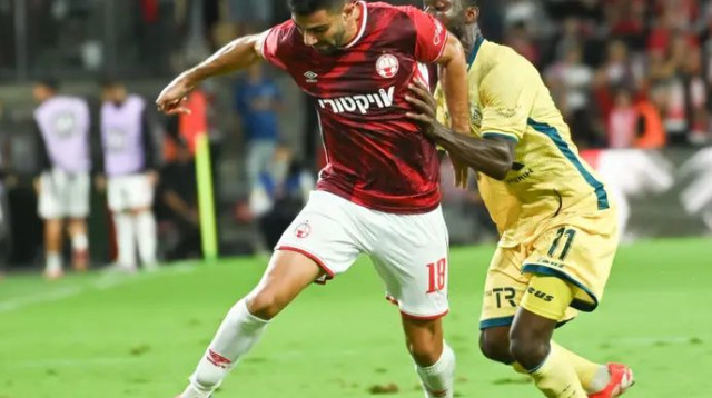 רועי לוי (צילום: ברני ארדוב)