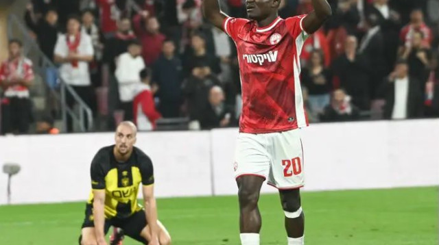 עוד ביקור מולדת. קאנגווה (צילום: ברני ארדוב)