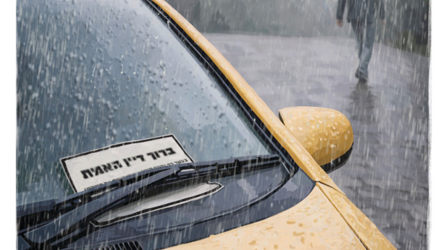 רק בישראל. המדור של מאיר עוזיאל (צילום: מעריב אונליין)