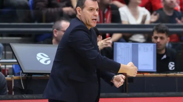 איטודיס (צילום: דני מרון)