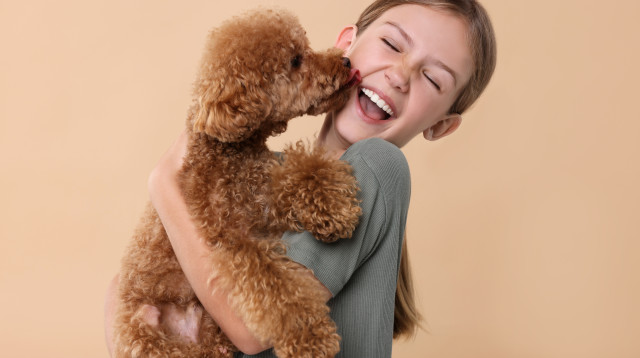 ילד מחבק כלב פודל (צילום: שאטרסטוק)