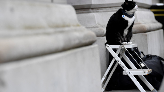 פאלמרסטון ז"ל (צילום: REUTERS/Toby Melville)