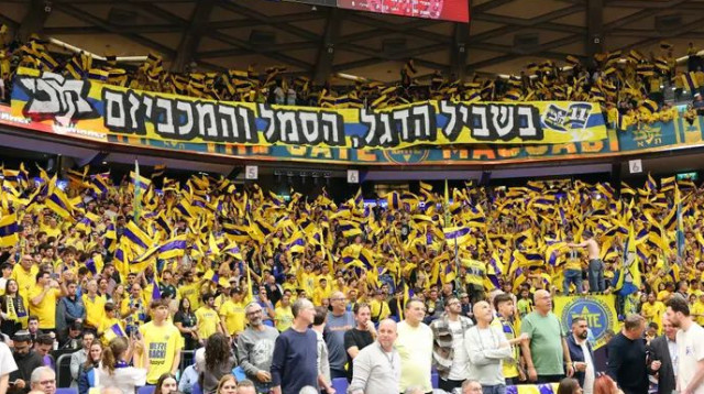  (צילום: אודי ציטיאט)
