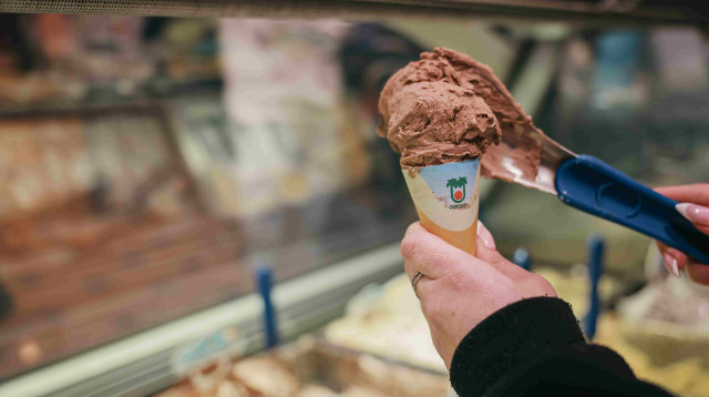 גלידת יטבתה (צילום: יאן ברטן)