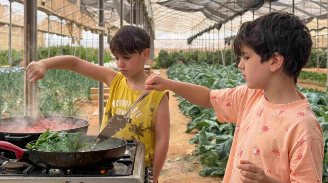 פסטיבל מהחממה לצלחת (צילום: אפרת פרנקנשטיין)