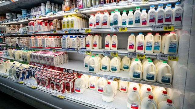  (צילום: Al Drago)