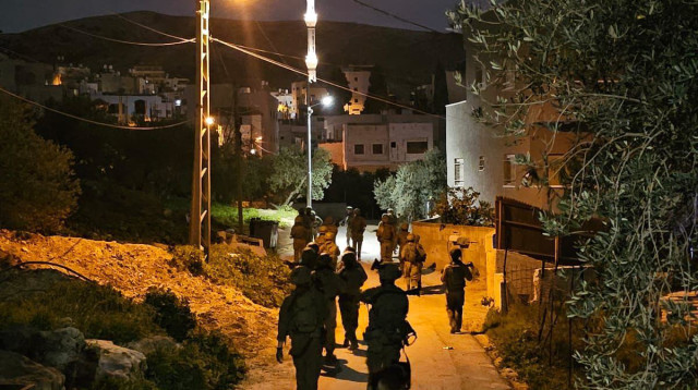 אוגדת המזרח (96) (צילום: דובר צהל)