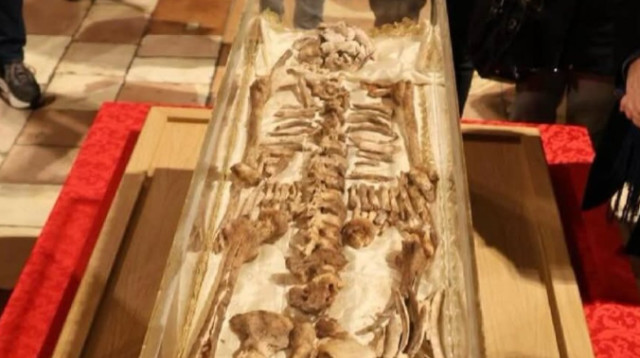 שרידיו של פרנציסקוס מאסיזי (צילום: צילום מסך רשת X,צילום מסך לפי סעיף 27א)