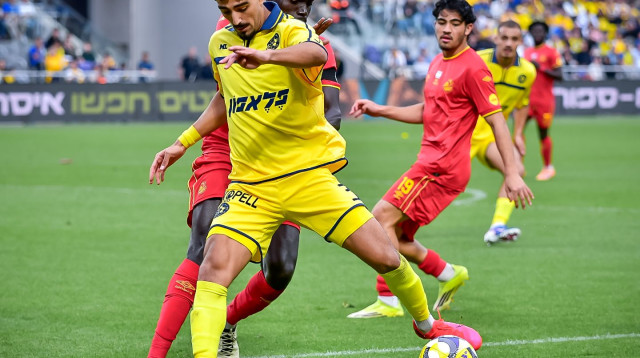 עונת שיא. רוי רביבו (צילום: אריאל שלום)