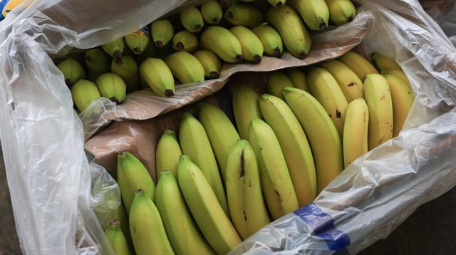 בננות (צילום: Joe Raedle/Getty Images)