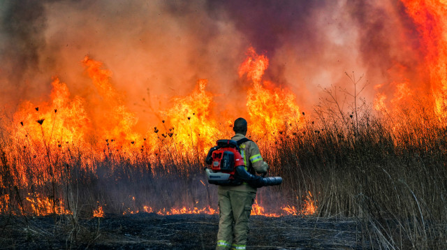 שריפה בצפון מירי חיזבאללה  (צילום: Ayal Margolin/Flash90)