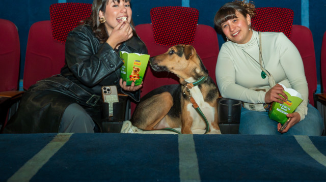 הקרנת סרט לבעלי כלבים (צילום: טל מורלי)