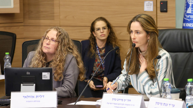 הדיון על מדיניות האכיפה וההליכים המשפטיים בעבירות מין בוועדה לקידום מעמד האישה ולשוויון מגדרי  (צילום: דני שם טוב, דוברות הכנסת)