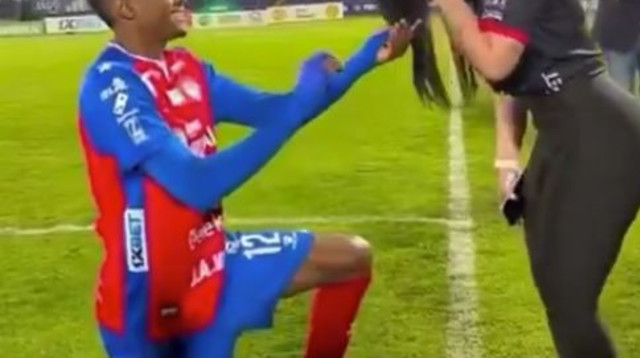 הצעת נישואין על הדשא (צילום: צילום מסך, X (טוויטר))