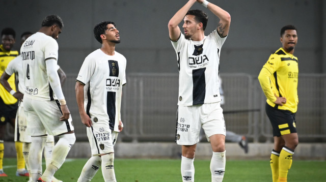 שחקני בית"ר ירושלים (צילום: ברני ארדוב)