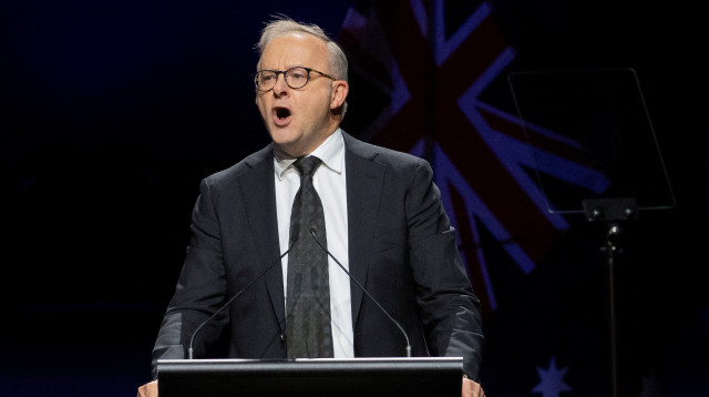 אנתוני אלבניזי (צילום: רויטרס)