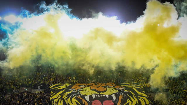 אוהדי בית"ר ירושלים (צילום: ברני ארדוב)